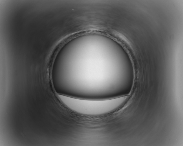 X0000089391310200706150923