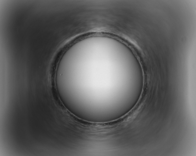 X0000089391311200706150923
