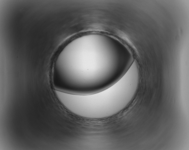 X0000089391312200706150923