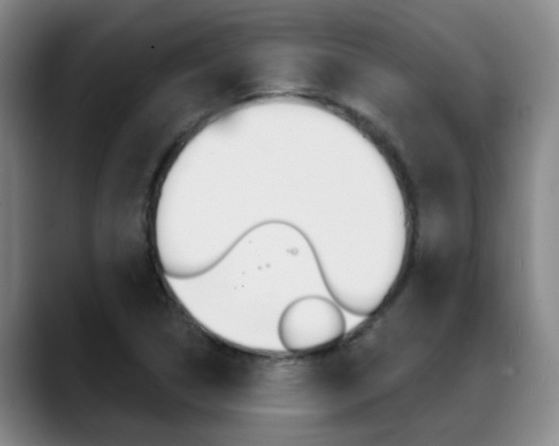 X0000089391314200706150923