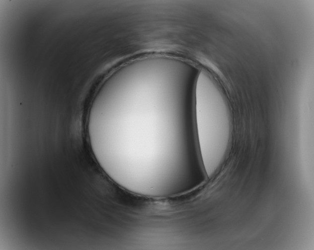 X0000089391315200706150923