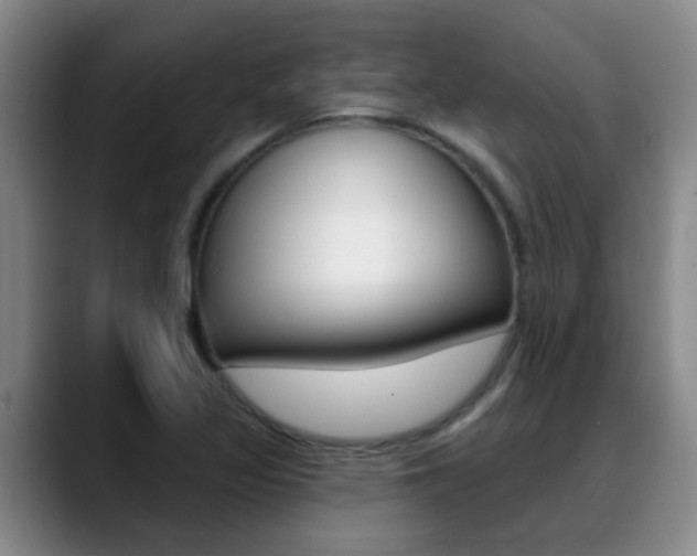 X0000089391317200706150923