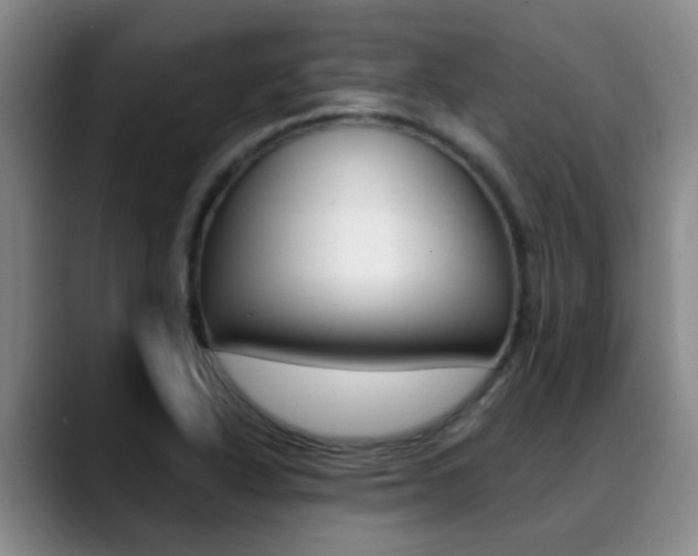 X0000089391318200706150923
