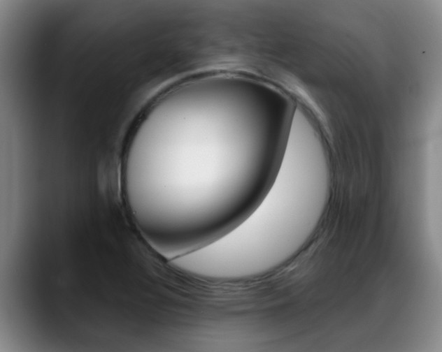 X0000089391320200706150923