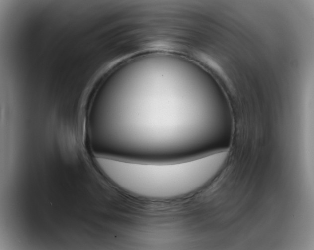 X0000089391323200706150923