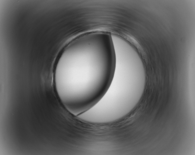 X0000089391324200706150923
