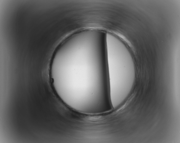 X0000089391325200706150923
