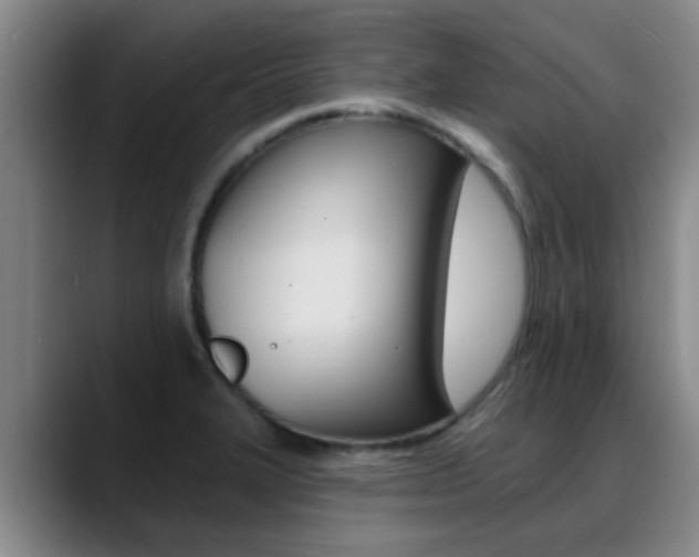 X0000089391327200706150923