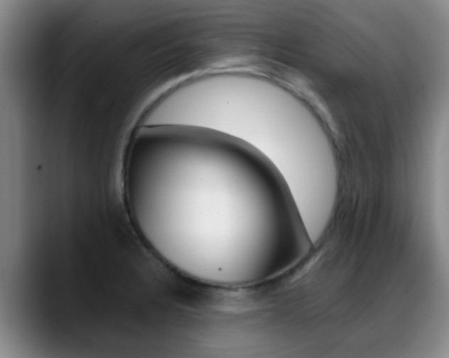 X0000089391328200706150923