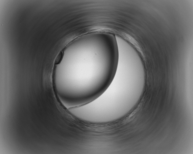 X0000089391330200706150923
