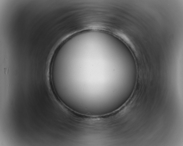 X0000089391331200706150923