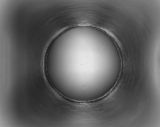 X0000089391333200706150923