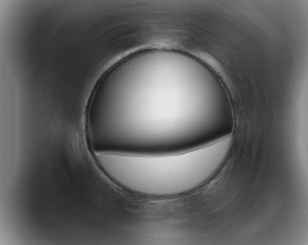 X0000089391335200706150923