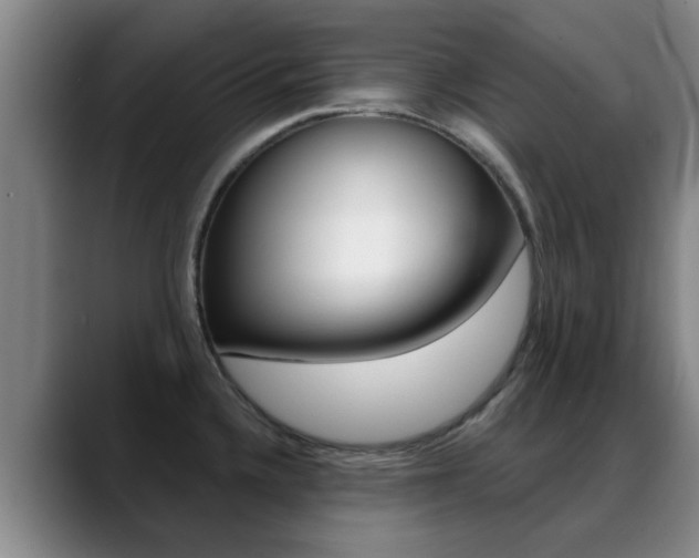 X0000089391336200706150923