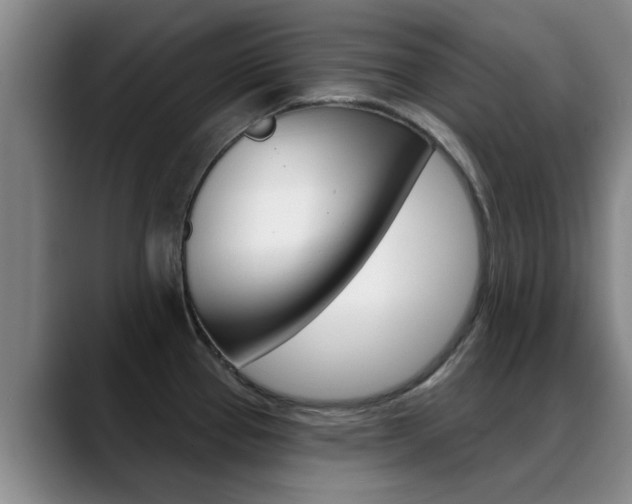 X0000089391337200706150923
