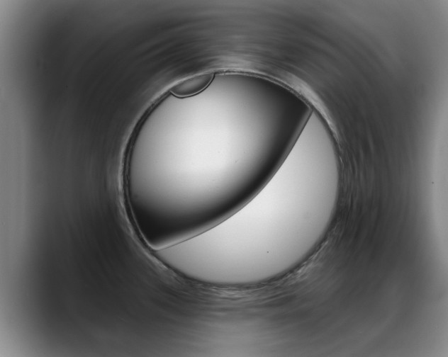X0000089391339200706150924