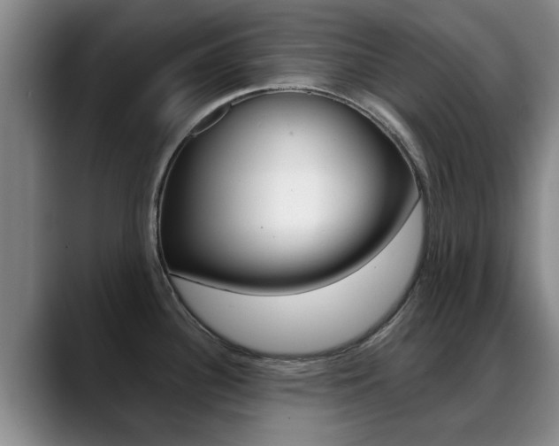 X0000089391340200706150924