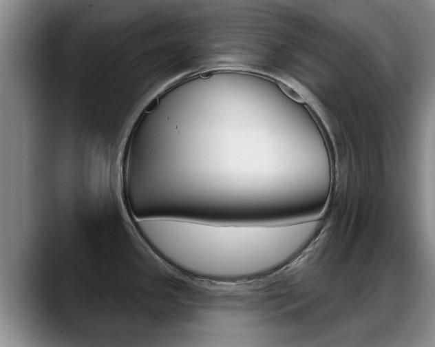 X0000089391341200706150924