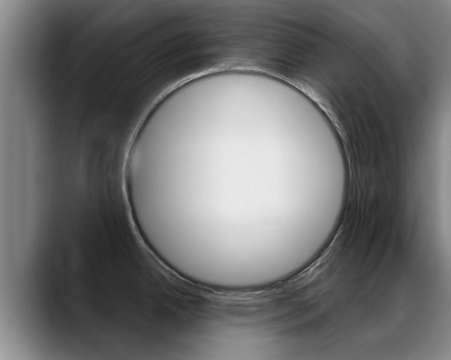 X0000089391342200706150924