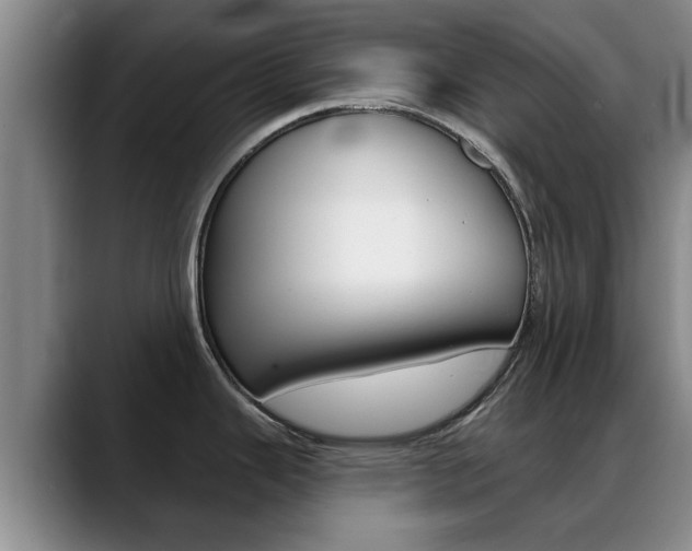 X0000089391343200706150924