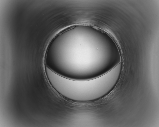 X0000089391344200706150924