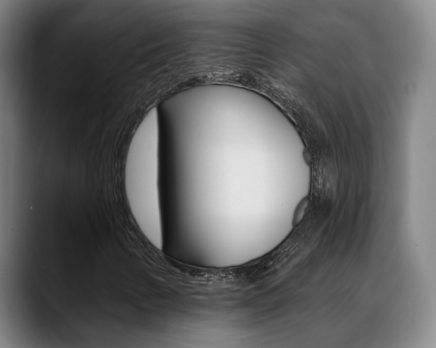 X0000089391346200706150923