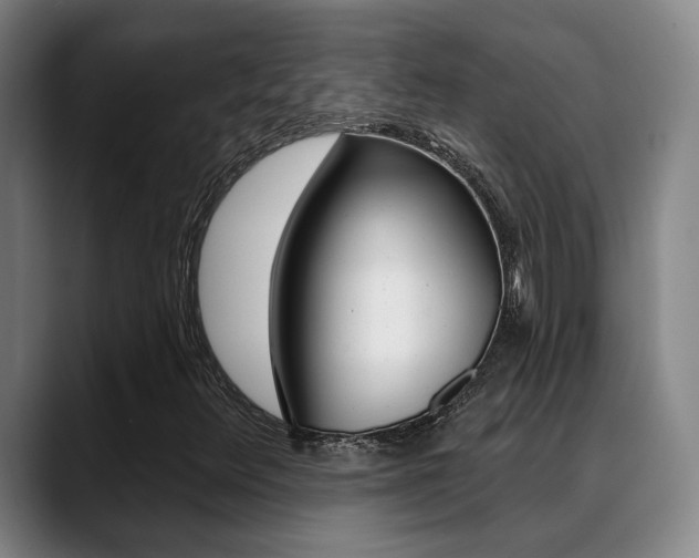 X0000089391348200706150923