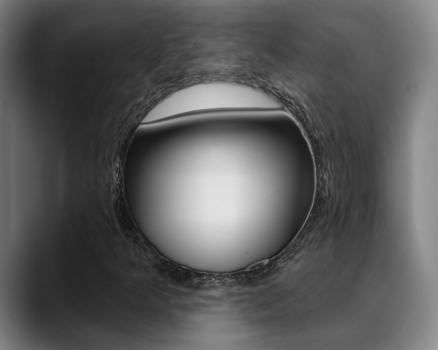 X0000089391349200706150923