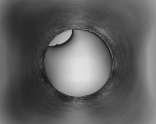 X0000089391350200706150923