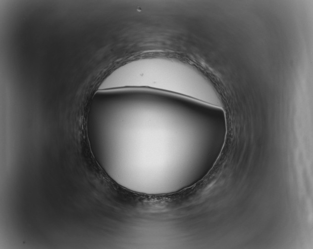 X0000089391351200706150923