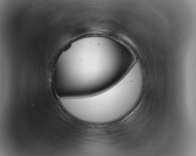 X0000089391355200706150923