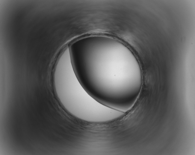 X0000089391356200706150923
