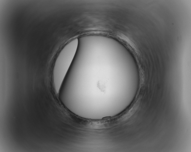 X0000089391357200706150923