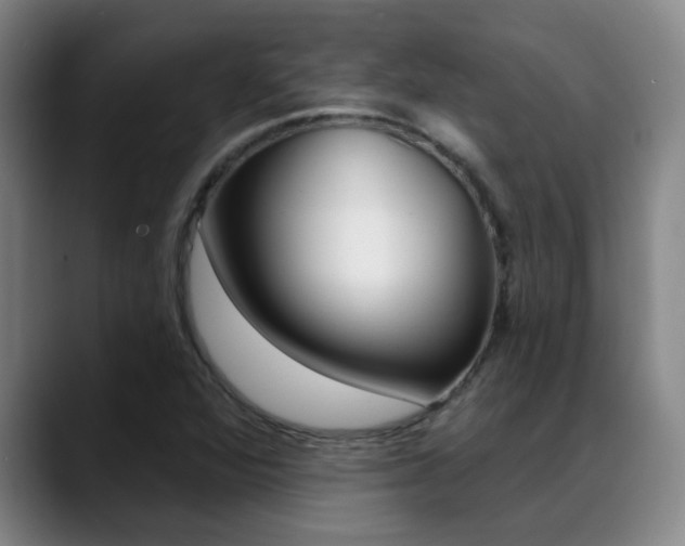 X0000089391360200706150923