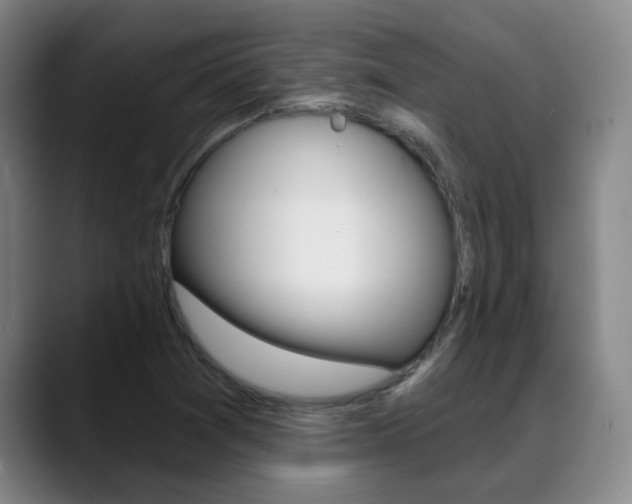 X0000089391361200706150923