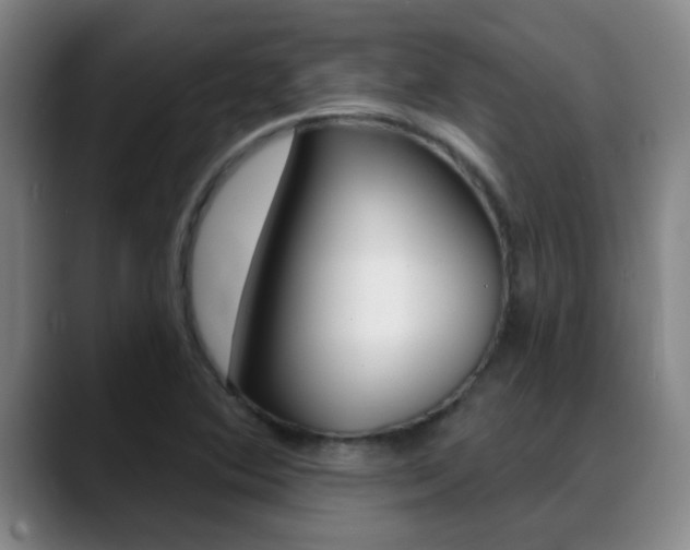X0000089391364200706150923
