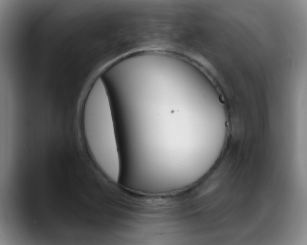 X0000089391366200706150923