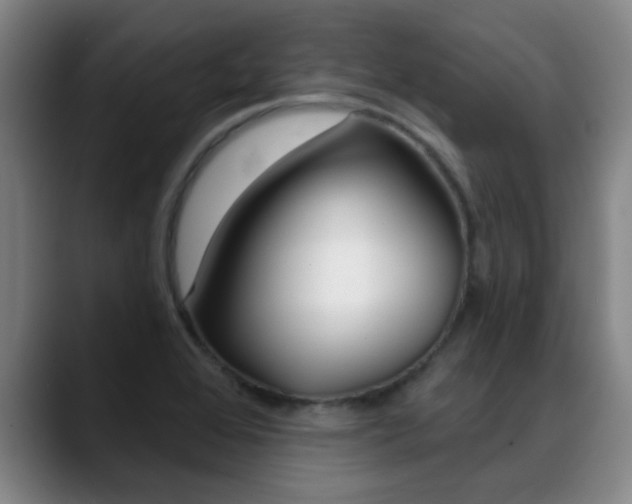 X0000089391368200706150923