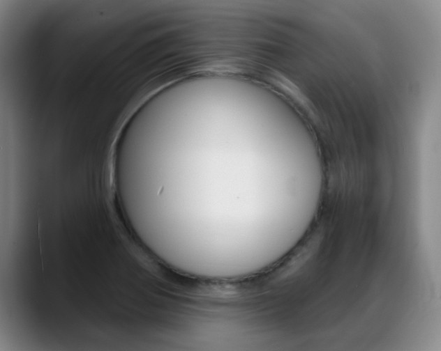 X0000089391370200706150923