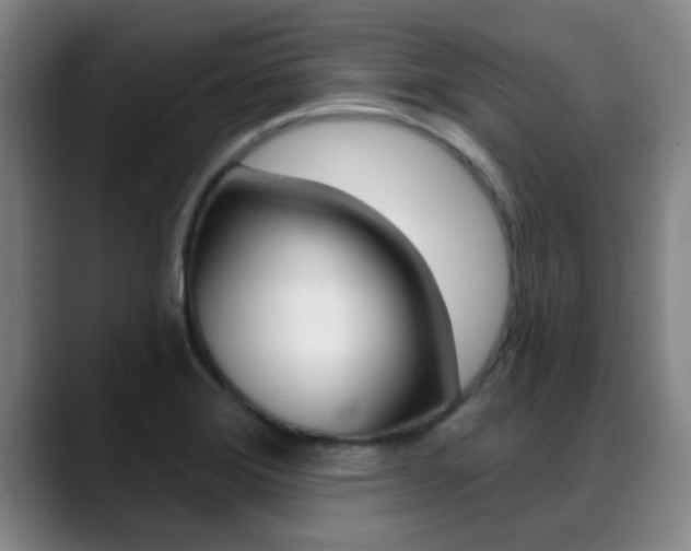 X0000089391372200706150923