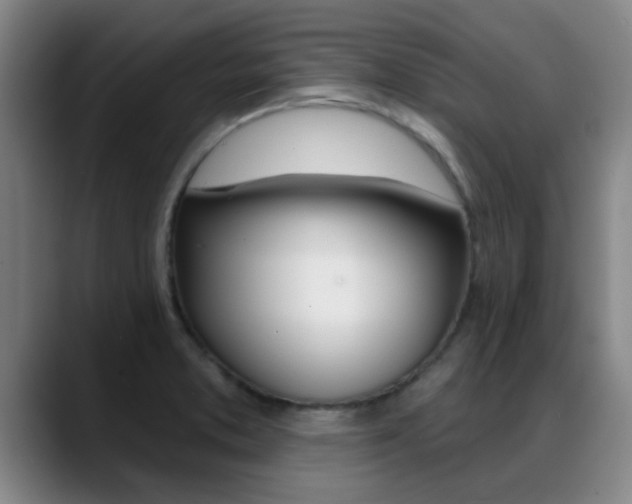 X0000089391373200706150923