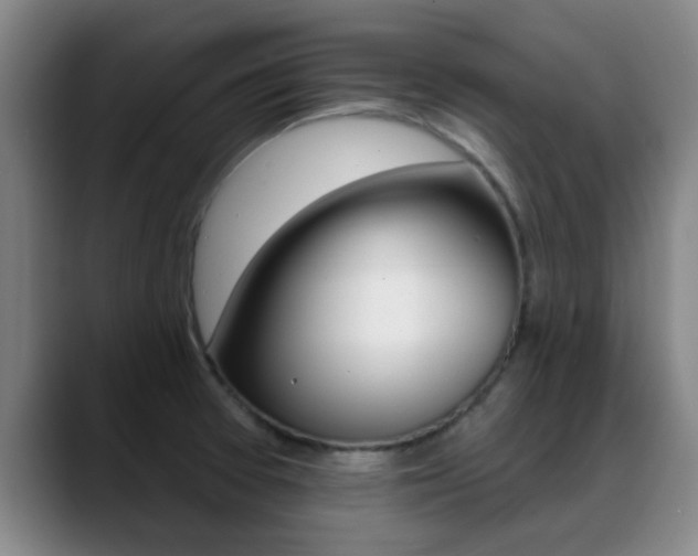 X0000089391377200706150923