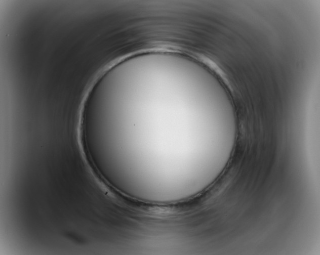 X0000089391379200706150922