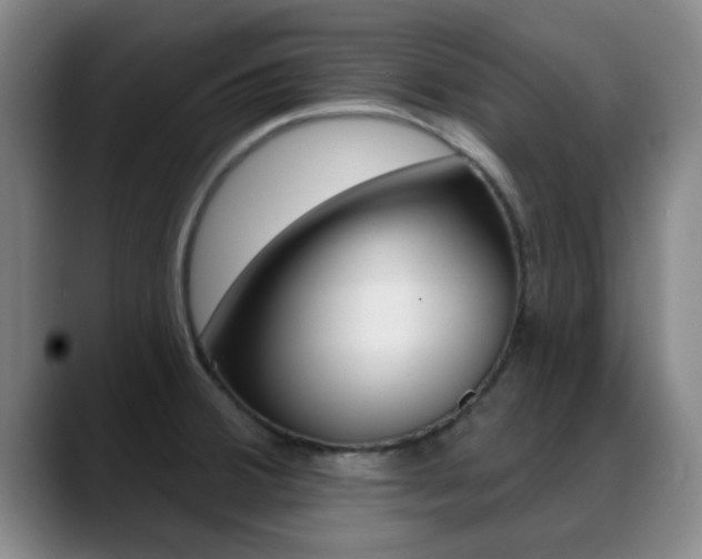 X0000089391380200706150922