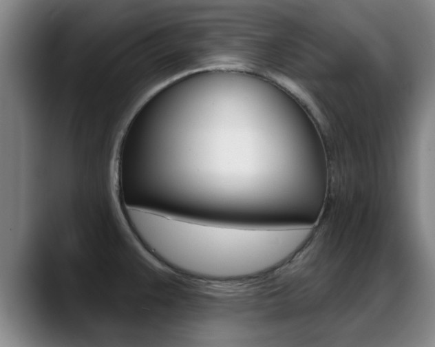 X0000089391383200706150922