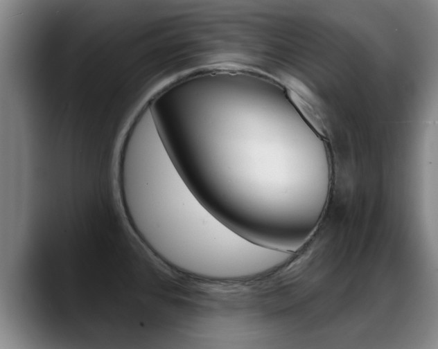 X0000089391384200706150922