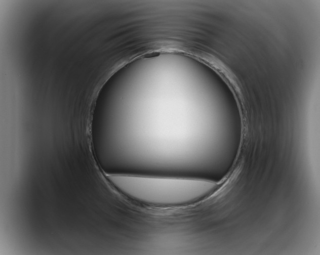 X0000089391385200706150922