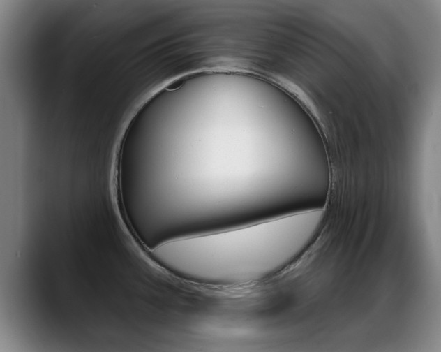 X0000089391387200706150922
