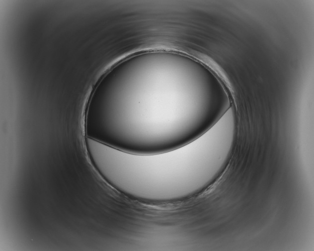 X0000089391388200706150922