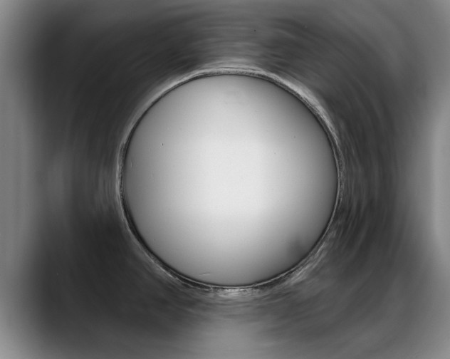 X0000089391390200706150922